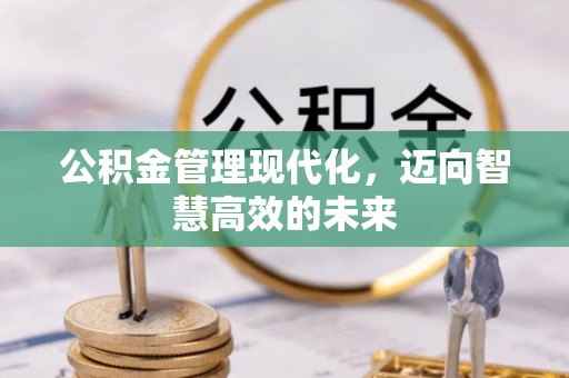 婺源公积金管理现代化，迈向智慧高效的未来